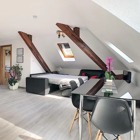 Appartement Agréable à Deux Pas De La Gare Colmar